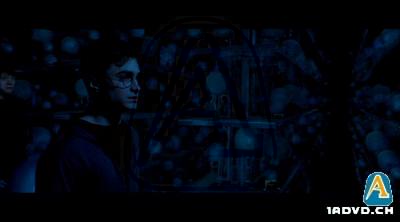 Harry Potter und der Orden des Phnix (2 DVD)