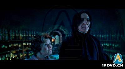 Harry Potter und der Orden des Phnix (2 DVD)