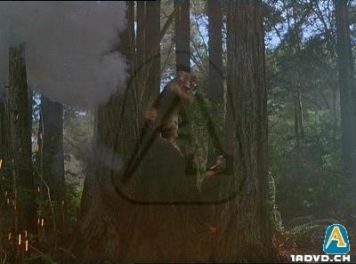 Star Wars: Ewoks