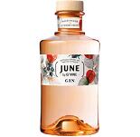 June: Wild Peach & Summer Fruits - Flavoured Gin by G'Vine 0.7 Liter 3