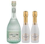 Lind & Lime London Dry Gin + Scavi & Ray Ice