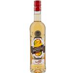 Boudier Liqueur de Mango Bartender 0.5 Liter 20% Vol.