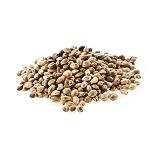 Premium Seeds CBD F1 Regulr (5 +1)