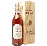 Delamain Cognac Grande Champagne 1972 35 Jahre 0.7 Liter 40% Vol.