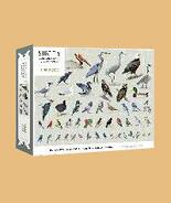 Sibley Backyard Birding Puzzle: 1000-Piece Jigsaw Puzzle with Portrai